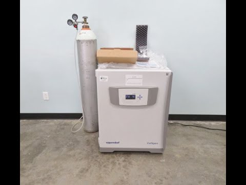 Eppendorf CellXpert C170 CO2 Incubator for Sale