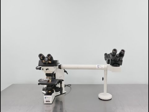 Olympus BX40 Microscope ID 16953