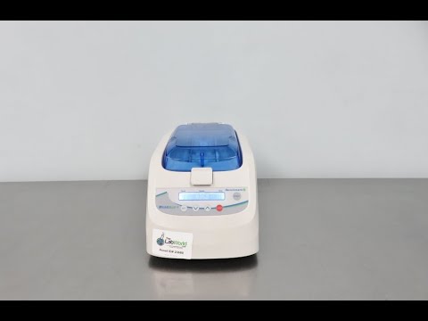 Benchmark Beadbug 6 Homogenizer ID 23680