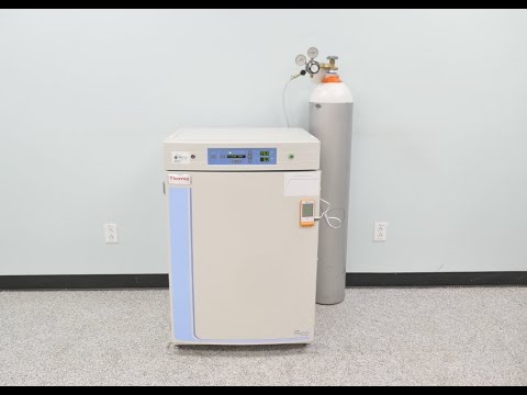 Thermo Steri Cycle CO2 Direct Heat Incubator ID 16983