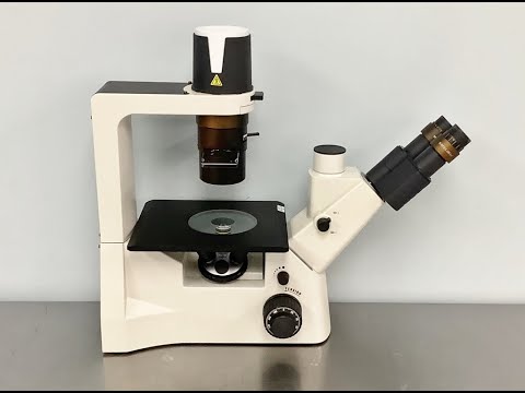 Motic AE2000 Inverted Microscope Video ID 26183