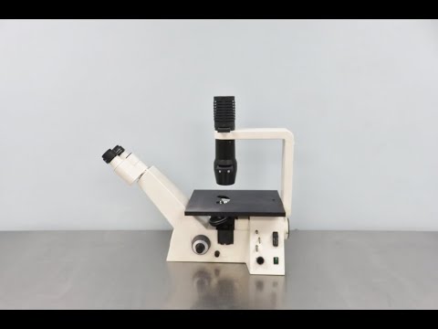 Zeiss Axiovert 25 Microscope  ID 23748