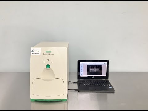 BioRad Gel Doc EZ Imager ID 24684