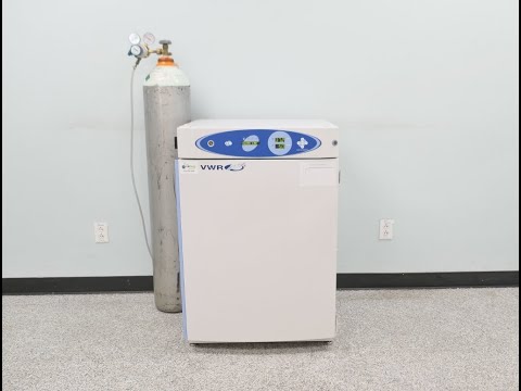 CO2 Air Jacketed Incubator Video ID 24366