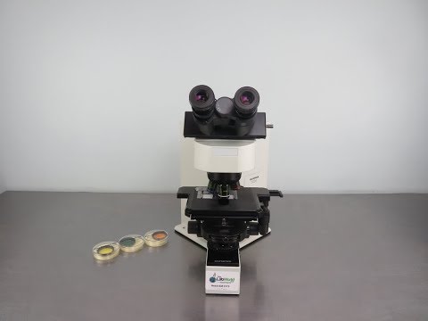 Olympus BX60 Upright Compound Microscope