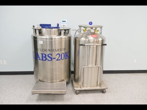 Taylor Wharton LABS 20K Cryogenic Storage System ID 16442