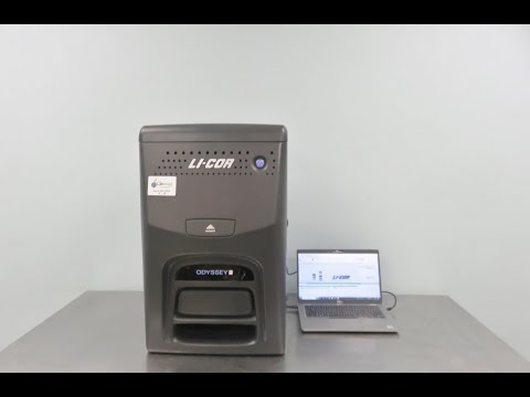 Li Cor Odyssey FC Video ID 23968