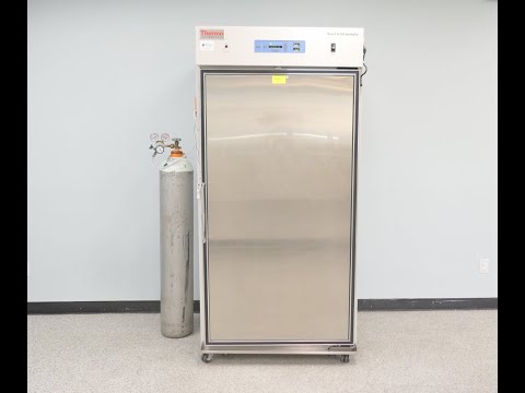 Thermo 3950 CO2 Incubator  ID 19350