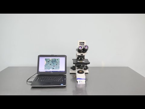 Fisher Scientific Microscope MicroMaster ID 17687