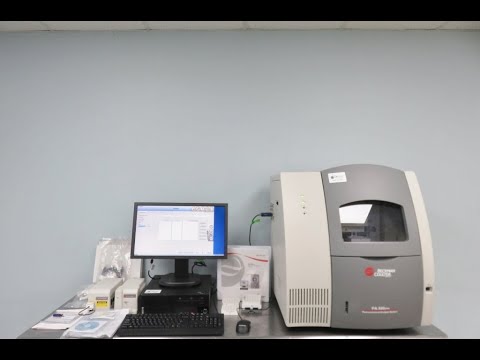 Beckman Coulter PA800 Plus CE System ID 22005