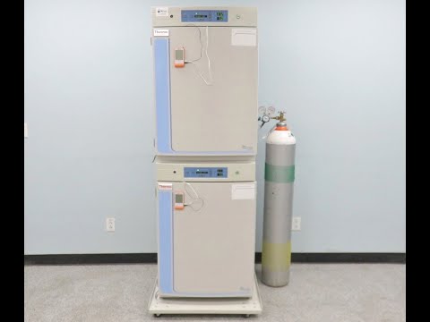 Thermo Steri Cycle Incubator Video ID 20400