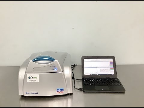 Qiagen RotorGene 5 Plex Real Time PCR ID 24587