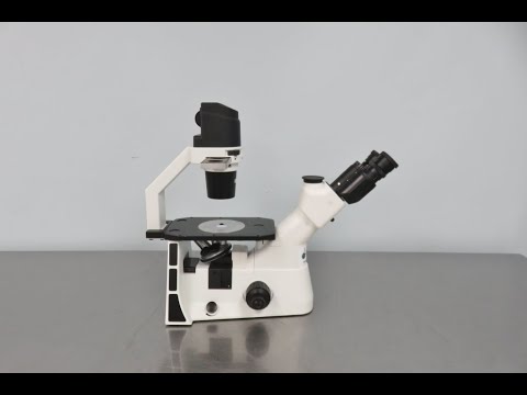 Laxco Inverted Microscope ID 19540