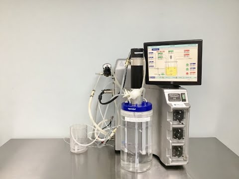 Eppendorf Bioreactor BioFlo 310 ID 21090