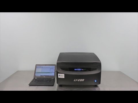LiCor Odyssey CLx Imaging System ID 18295