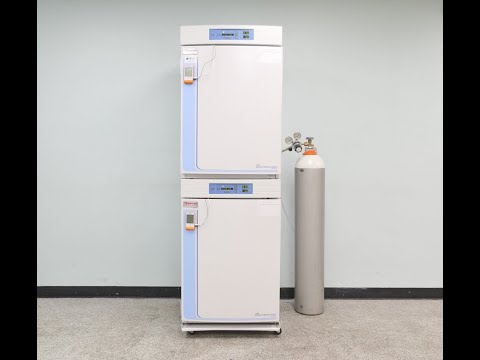 Thermo 3110 CO2 Incubator ID 21889