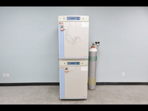 Thermo Steri Cycle CO2 Direct Heat Incubator ID 21839