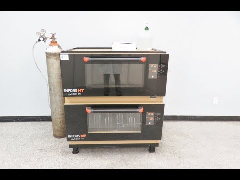 Infors HT Multitron Dual Stack Incubator Video ID 22130