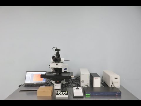 Olympus BX61TRF Fluorescent Microscope Video ID 21358