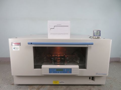 Thermo MaxQ 8000 Shaking Incubator for Sale