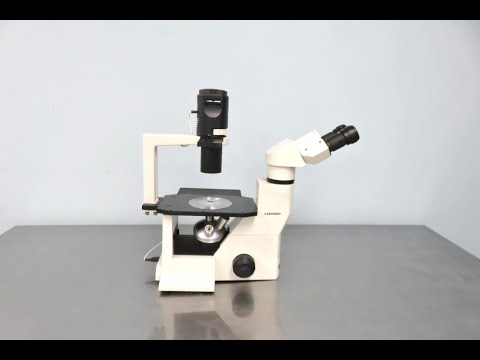 Labomed Microscope Video ID 20274