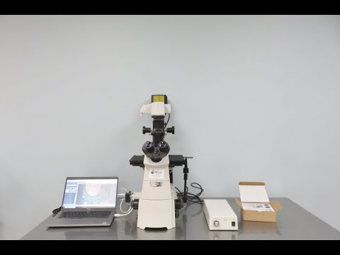 Nikon Eclipse TI-S Inverted Microscope Video ID 23011