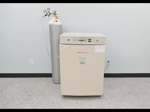 Thermo Steri Cycle Incubator Video ID 24468