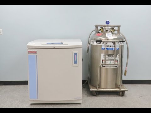 Thermo Cryoplus 3 Cryo Storage System  ID 23579
