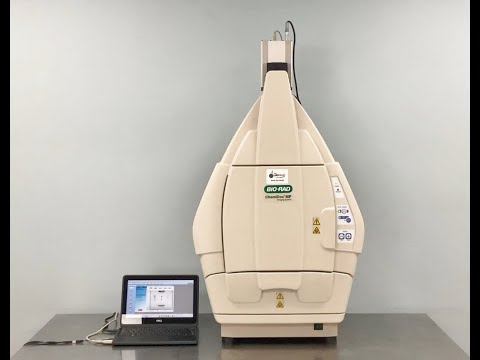 Biorad ChemiDoc MP Imaging System ID 24229