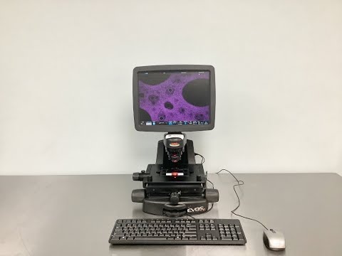Evos FL Auto Microscope Video ID 25593