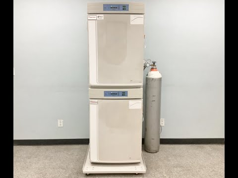 Thermo 3110 CO2 Incubator Video ID 25164