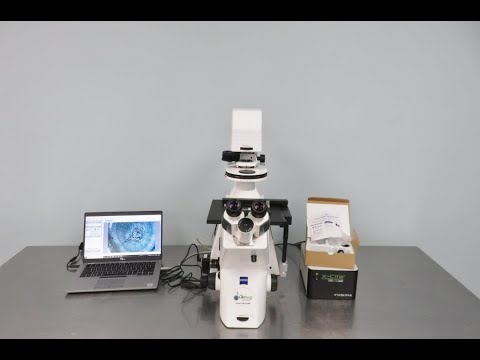 Zeiss Axio Observer 3 Fluorescence Microscope Video ID 23569