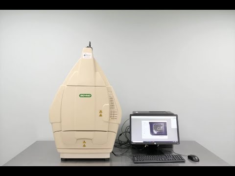 BioRad Gel Doc XR Imaging System ID 20215