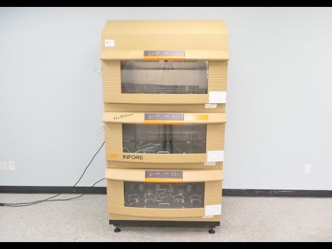 Infors HT Multitron Incubator Shaker  ID 18970