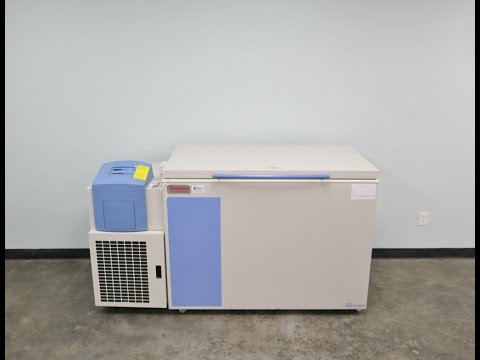 Thermo Forma -40C Freezer ID 13621