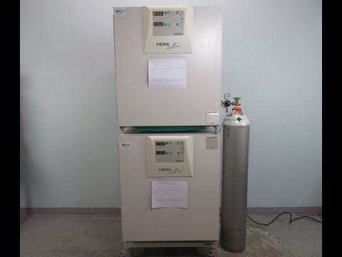 Thermo Heracell 240 Copper Coated Incubator For Sale