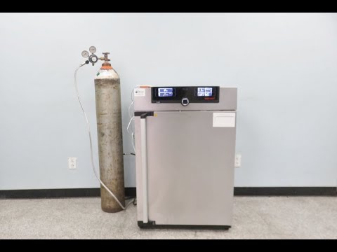 Memmert IC0150 CO2 Incubator Video ID 23780