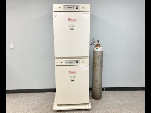 Thermo Scientific 370 Steri Cycle Double Stack Incubator Video ID 24477