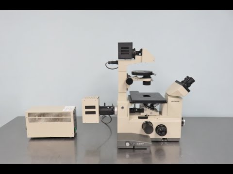 Olympus IMT 2 Inverted Microscope Video ID 22089
