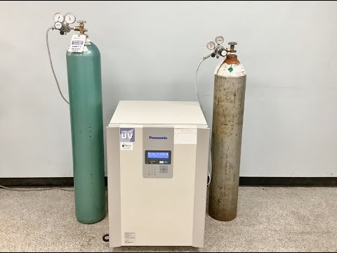 Panasonic Tri-Gas Incubator ID 24601