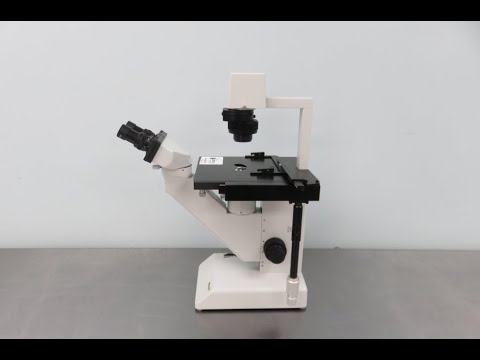 Hund Wilovert A Inverted Microscope ID 22109