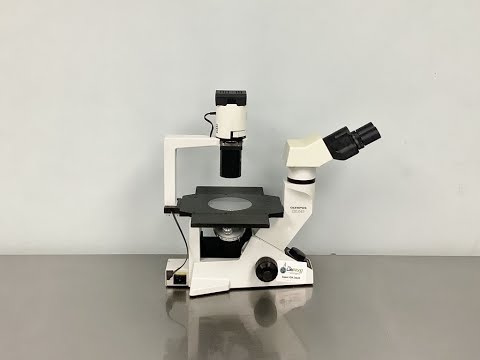 Olympus CKX41 Inverted Lab Microscope Video ID 24620