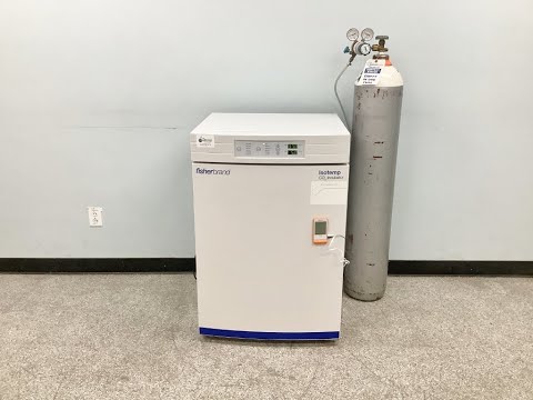 Fisher Scientific Isotemp CO2 Incubator Video ID 24714
