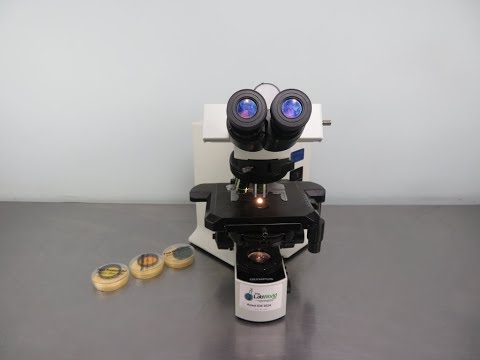 Olympus BX 51 Research Microscope