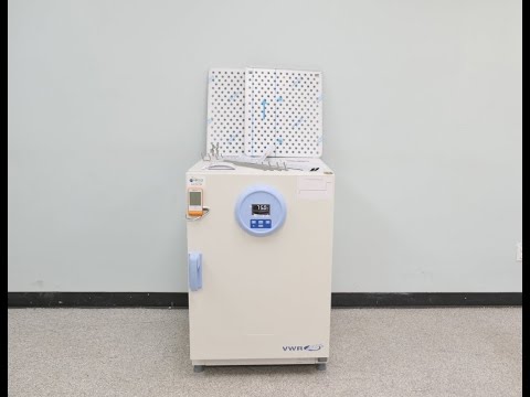 Forced Air Incubator ID 19940