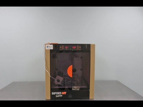 Infors HT Ecotron Incubator Shaker  ID 20950