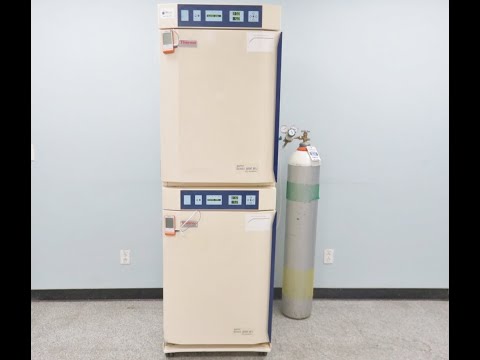 Thermo Napco 8000 CO2 Incubators ID 21852
