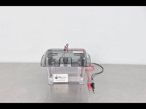 Thermo Midi Gel Tank Video ID 23586