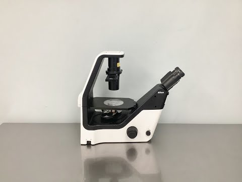 Nikon Eclipse TS21 Inverted Phase Contrast Microscope Video ID 24503
