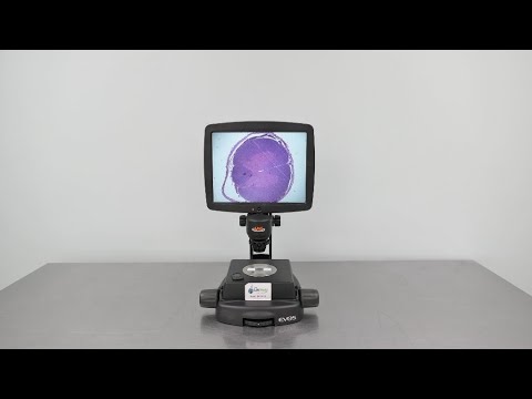 AMG EVOS Microscope ID 16433